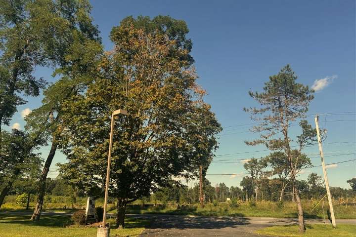 When Will Fall Like Temperatures Return to the Capital Region?