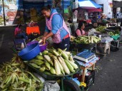 Sabor, tradición y orgullo campesino, en la Feria del Campo 2025 de La Magdalena Contreras