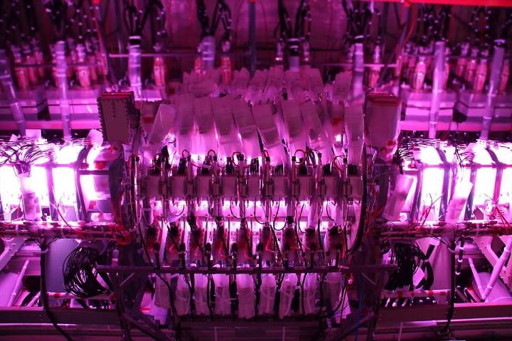Microsoft Data Centers Could Run on Fusion Power