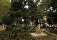 El PSOE reclama modificar el plan de plantación para reducir el impacto de las alergias en Salamanca