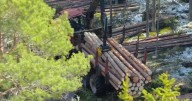 Is 'clear-cutting' the way to cut down on Utah's raging wildfires?
