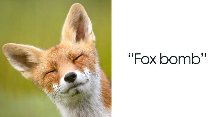 My 30 Fairytale-Like Pics Show The Beauty And Magic Of The Wild World