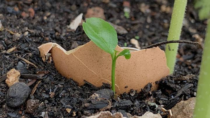SuperSociedades impone millonaria multa al controlante de Nitrofert, empresa de fertilizantes competidora de Monómeros