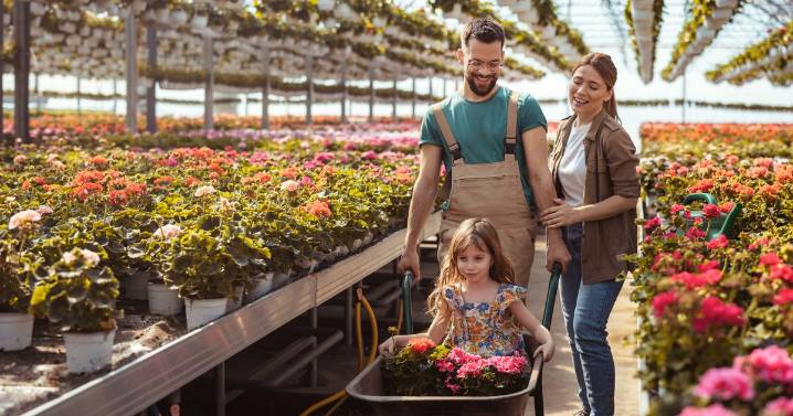 Which is Lincolnshire's top garden centre? Nominate your favourite for our reader poll