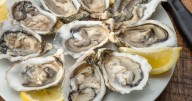 2 die from flesh-eating bacteria after eating raw oysters, reports say