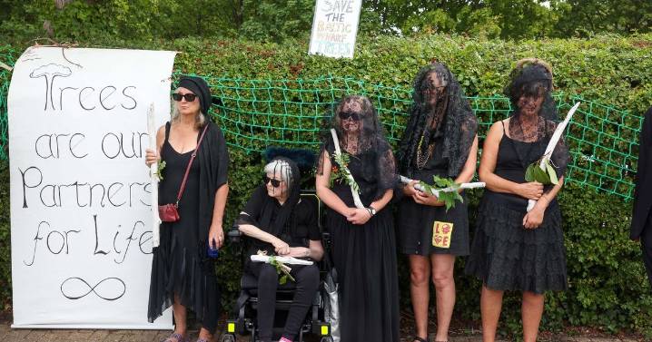 'Brides' hold funeral held for caravan park trees they married