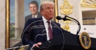 Donald Trump Cuts Big Breaks for Businesses Like Apple and Nvidia That He Has Stakes In