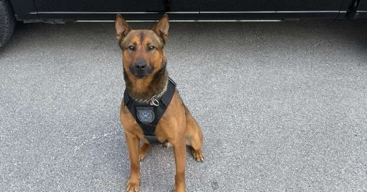 Man faces 3 felonies in connection to KCK standoff, stabbing of police K9