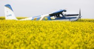 Chinese tariff on canola seed comes into force as farmers hope for resolution