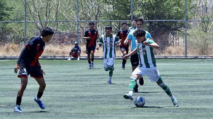 Confirman 14 equipos “guanajuas” para temporada 25