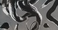 You May Be Hosting a Parasite Right Now