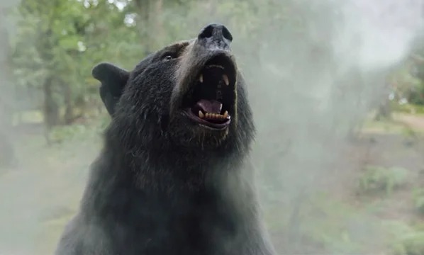 Cómo es «Oso Intoxicado», la increíble película inspirada en hechos reales que llegó a Netflix