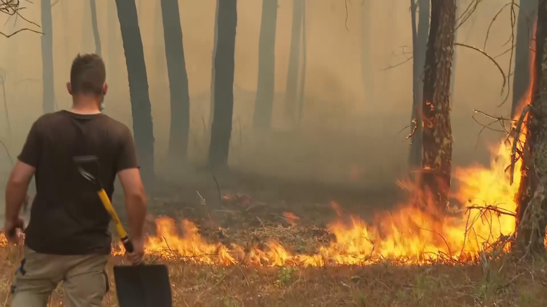 More than 700 firefighters try to control wildfire in Trancoso, northeast of Lisbon