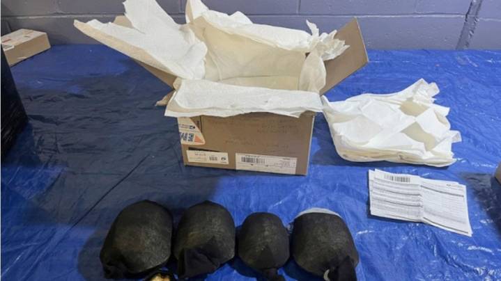 Man admits trying to smuggle 850 protected turtles valued at $1.4 million to Hong Kong