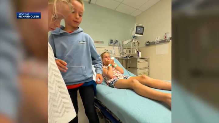 9-year-old girl bitten by sea lion while surfing at California beach