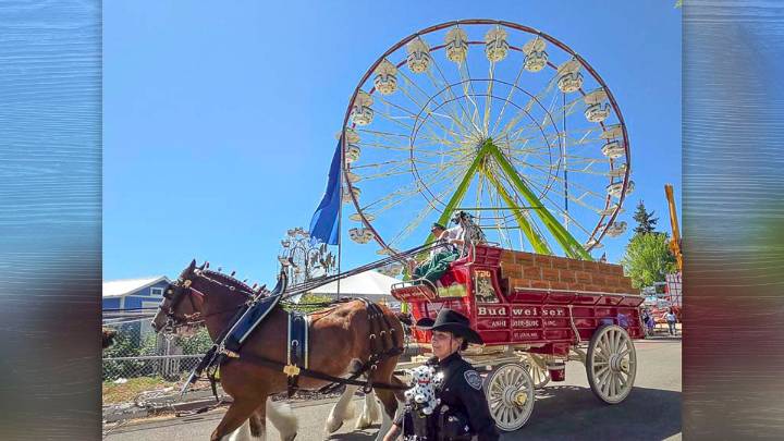 More memories made on the final day of the 2025 Clark County Fair