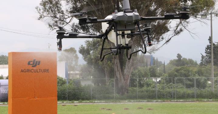 En México, drones fumigan a 10% del campo y DJI quiere ampliar esa cobertura