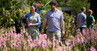 3 important things to do now in the garden despite heat. Hint: They involve the mind, not muscle
