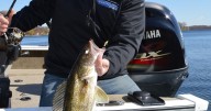 BOB JENSEN: If you're going to catch fish, you have to know where they are