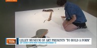 The Lilley Museum of Art hosts “To Hold a Form,” an exhibition exploring sound, silence, and form in contemporary art