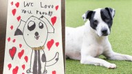 Kids Leave An Emotional Note Behind With Their Dog At A South Carolina Shelter
