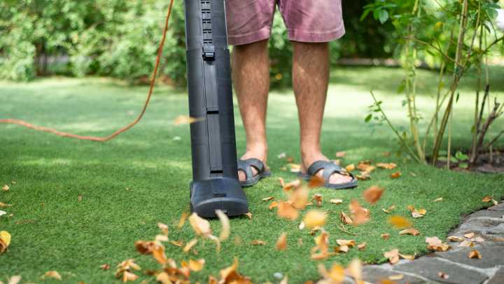 'Vacuum mulching' can keep your lawn green and healthy in Fall despite the falling leaves