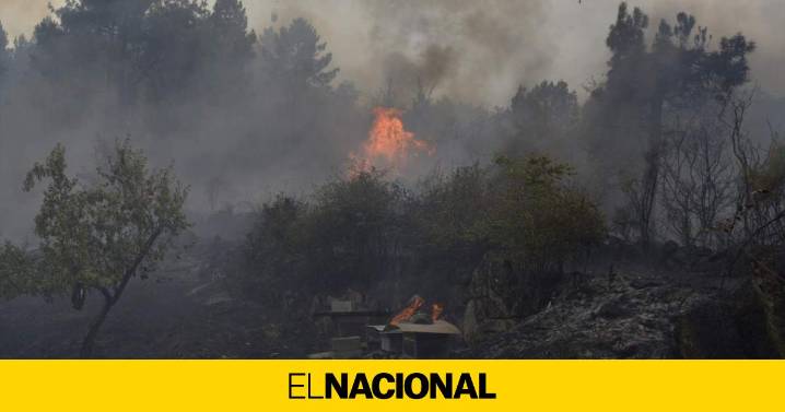 Detenido el presunto autor de dos focos del incendio de Orense que ha dejado tres heridos graves