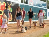 Bark in the Park returns to Blue Cross Park