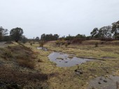 Supervisors press ahead on Five-Mile Basin cleanup