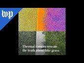 Thermal camera reveals the truth about fake grass