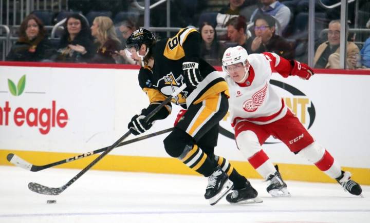 NHL Rumors: Does Erik Karlsson Make Sense for the Detroit Red Wings?