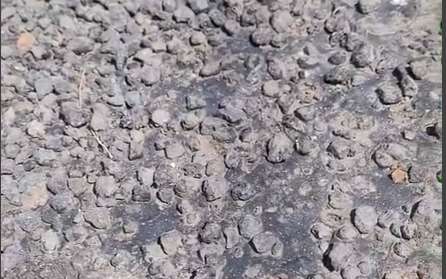 Acusan deficiencia en obra de Atotonilco el Grande