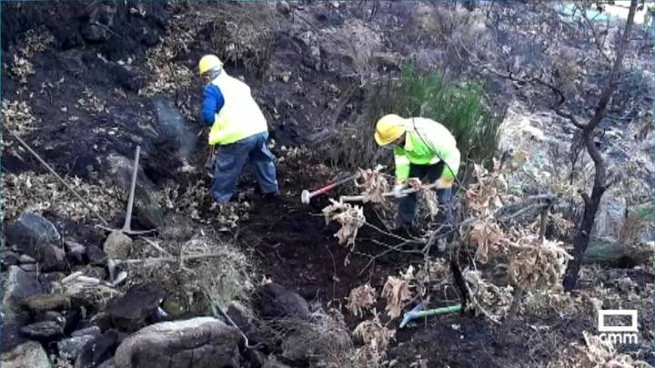 ¿Cómo se restauran las zonas forestales afectadas por un incendio?