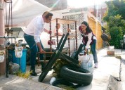 Arrecian labores de descacharrización en SC
