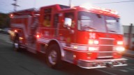 Two dogs die in Solway fire