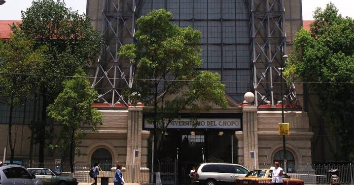 Museo del Chopo celebra 50 años con expos y más