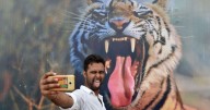 Don't let a selfie be the end of you