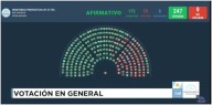 Uno por uno, cómo votaron los diputados la Emergencia en Discapacidad, que fue ratificada y pasó al Senado