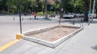 Talan 10 de 20 árboles en la Alameda programados por Desarrollo Social