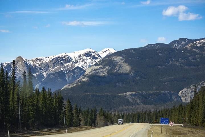 alberta camping jasper national park nature hiking stargazing