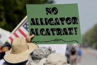 Judge to hear arguments on halting Alligator Alcatraz construction over environmental concerns