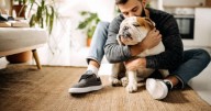 All dog owners in England urged to follow 8am and 8pm rule this week