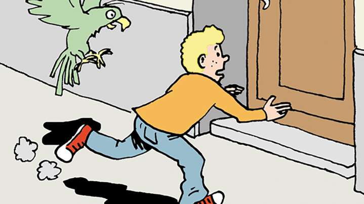 Tom the Dancing Bug: Billy Dare and the Adventure of the Three