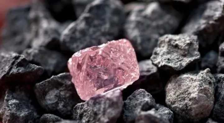 Robaron un diamante rosa valorado en 25 millones de dólares y la policía lo encontró en un refrigerador