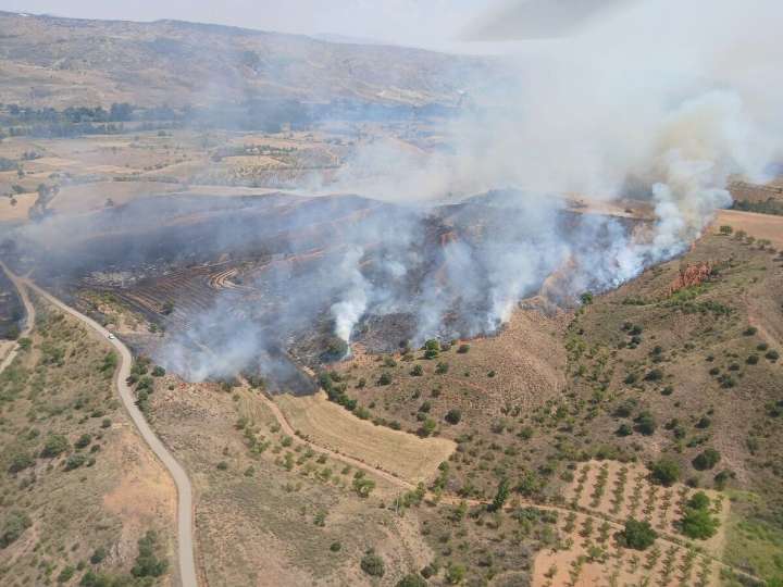 Declarado un incendio forestal en Daroca en un día de máxima alerta en Aragón