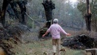 La Xunta anuncia ayudas de hasta 132.000 euros para las viviendas afectadas por los incendios