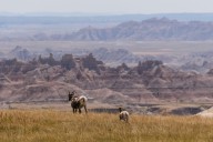 The Beautiful Town That's The Gateway To The Badlands