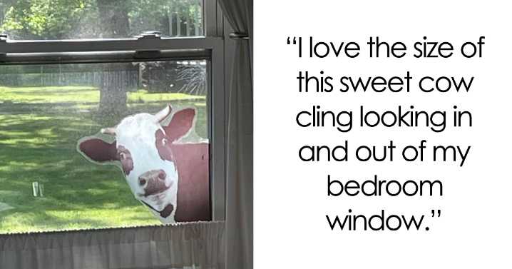 28 Totally Outlandish Things That Actually Make Perfect, Glorious Sense
