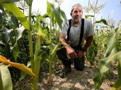 Bring on the rain: Ottawa's driest summer since 2012