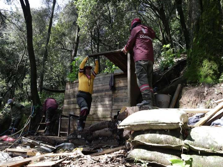 Derriban viviendas ilegales construidas en bosque de Cuajimalpa